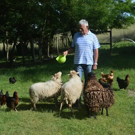 Pepito Saint-Gauzens